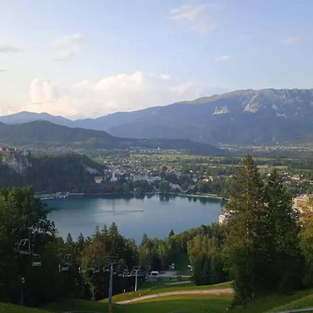 Apartment Mojca Near Bled Zabreznica Eksteriør billede