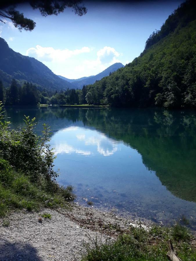Apartment Mojca Near Bled Zabreznica Eksteriør billede